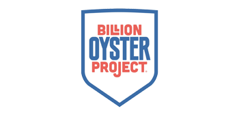 billion-oyster