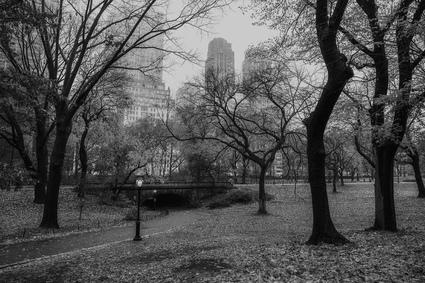 nyc-park